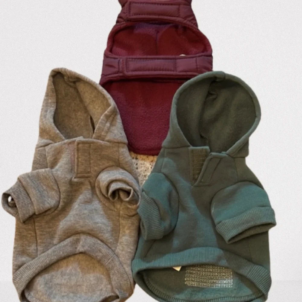 XS dog clothes